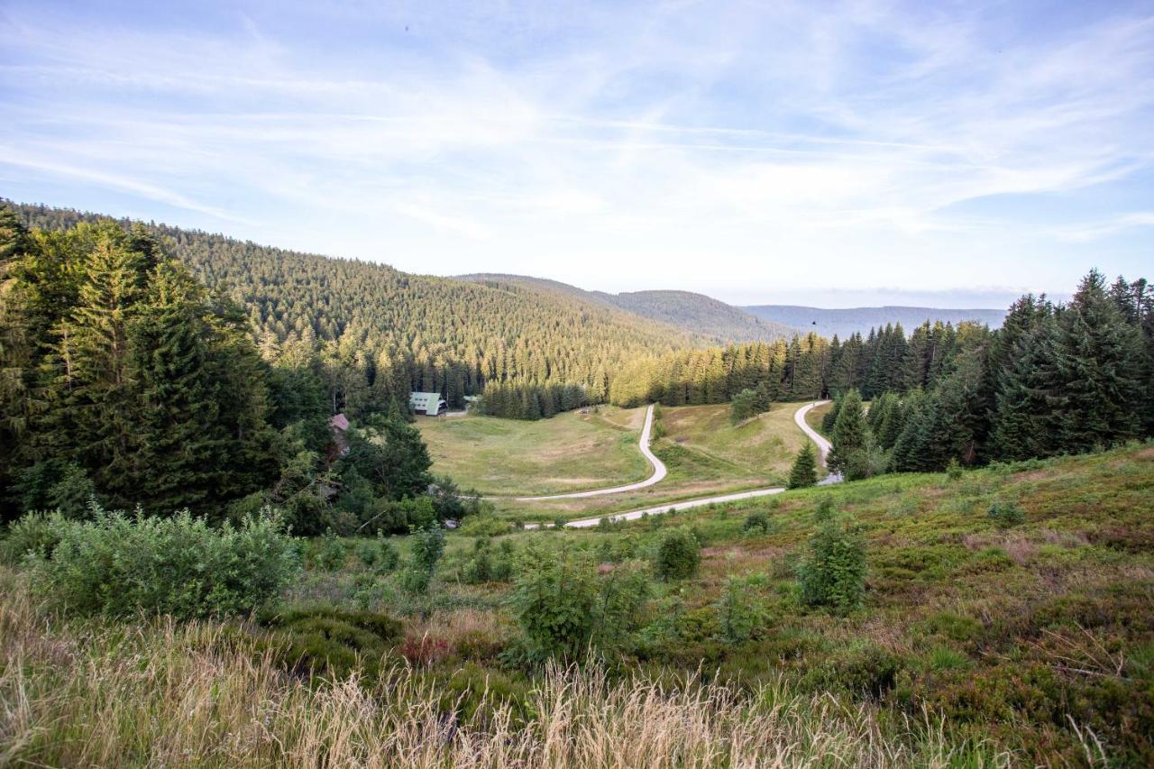 Edelfuchs-Lodge Bühlertal エクステリア 写真