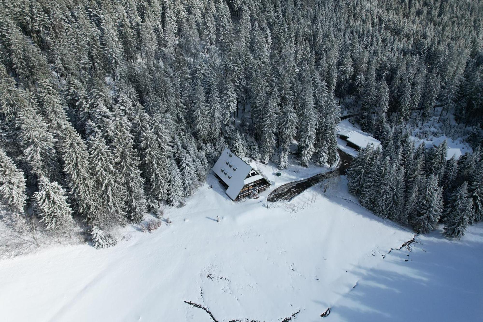 Edelfuchs-Lodge Bühlertal エクステリア 写真